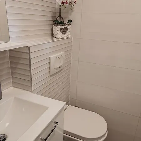 Ana Pula